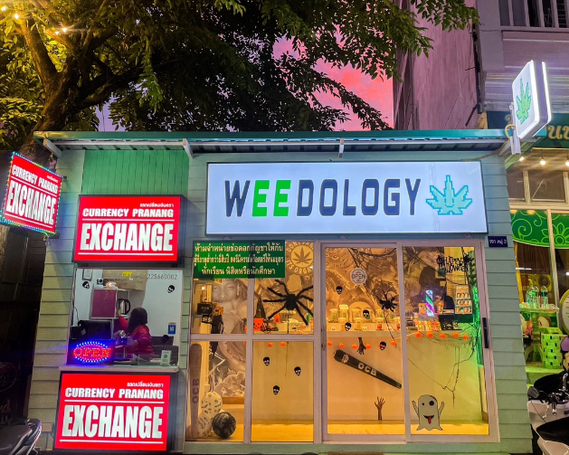 Weedology Cannabis Culture Aonang | weed aonang